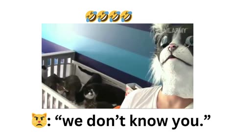 CATS THAT YOU KNOW 🐈🐈‍⬛