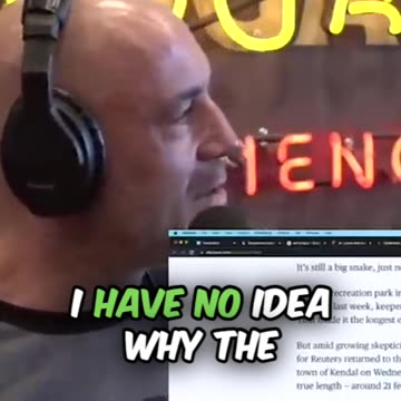 Indonesian villagers claim to have captured a 49ft long python