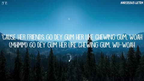 Rema, Selena Gomez Calm down lyrics song @ Animiwar