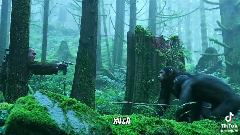 Monkey Power|Jungle book|the power of monkey