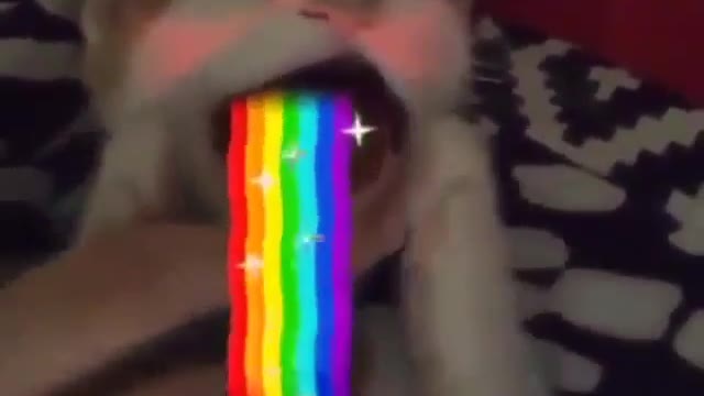 The Rainbow Cat