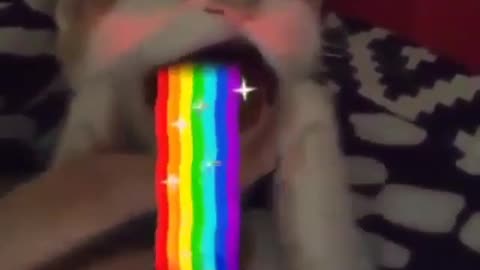 The Rainbow Cat