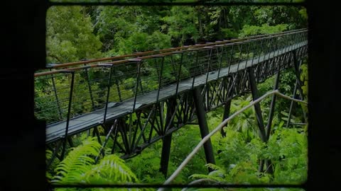 Top Things To Do In Phuket Thailand