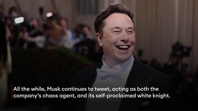 Elon Musk Fires a Twitter Engineer in Public, and He Speaks Out