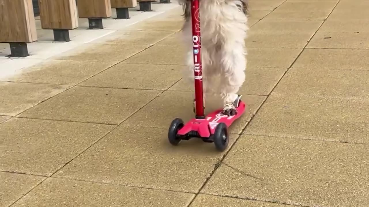 Imagine walking by and seeing this🤣