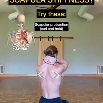 "Embracing the Unique Wonder of Scapula Stuffness: Unraveling the Secrets of the Shoulder Blade"