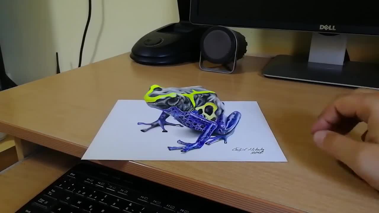 3d Illustration Drawing For A Beautifully Colored Frog