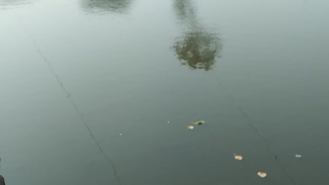 Village under water in Bangladesh