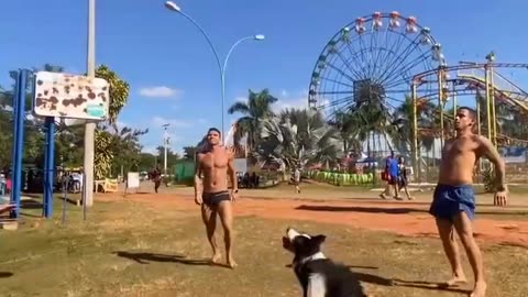 Dog and football