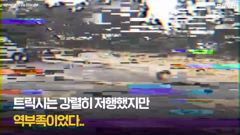 “내 친구 가만두지 못해!” 소형견 구한 옆집 대형견