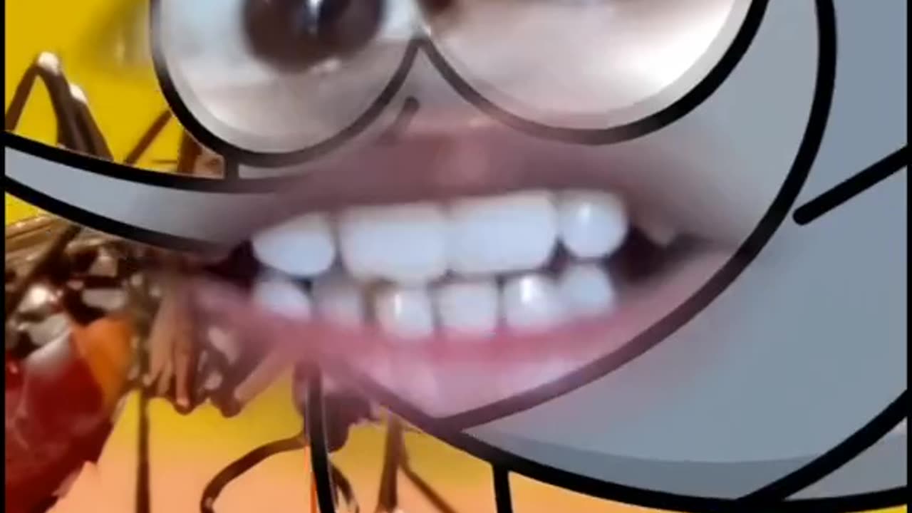 Fun