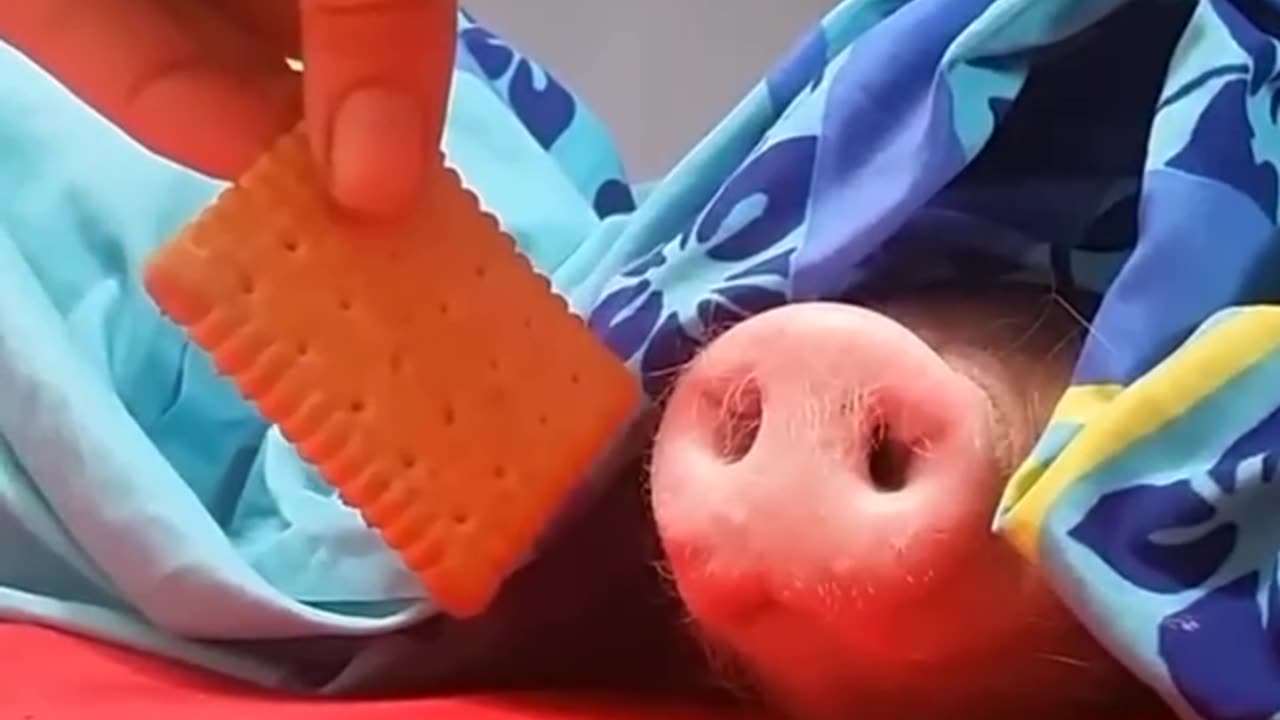 Hey...I smelled something.It's a food🤡