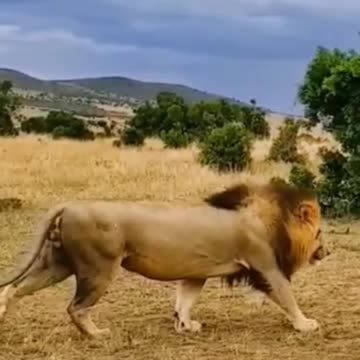 Animals Lover //ukran animals //animals//fish cach//animals2022