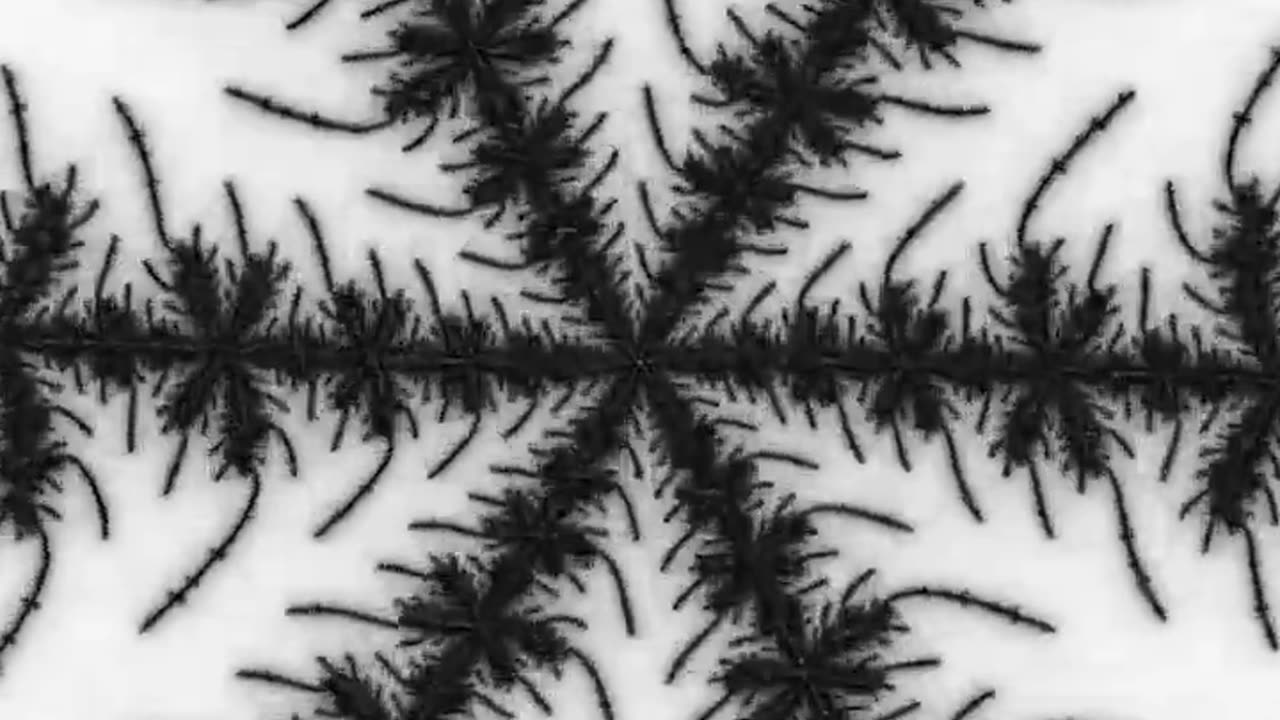 Imagine falling into the Mandelbrot Fractals endlessly ! 👀 #shorts #fractals #trippy #satisfying