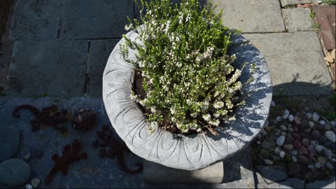 Jardinière de style ancien - diy