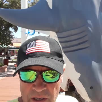 Yes, the called me "Sharky" but it was NOT fun to deal with Sharks.