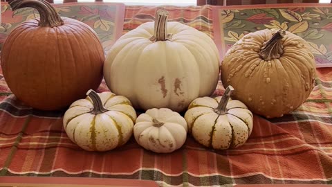 Gratitude Pumpkins