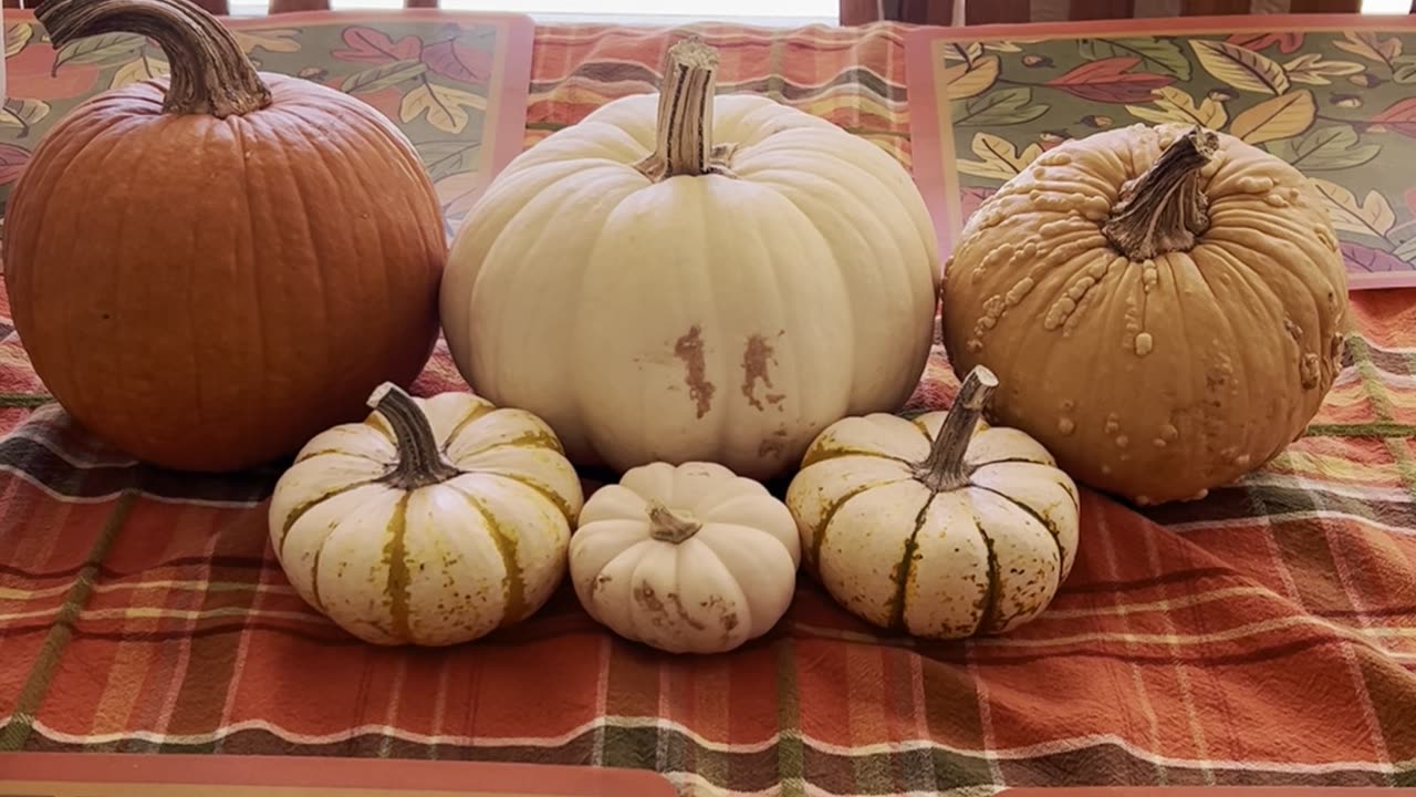 Gratitude Pumpkins