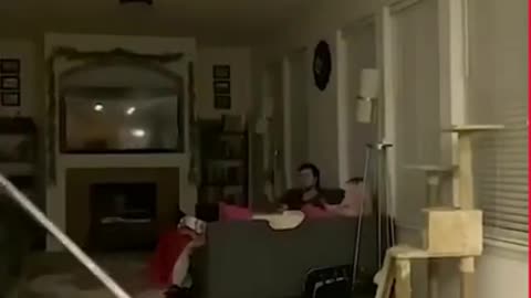 Funny fail compilation