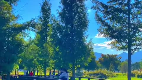 Beautiful scenery. Come and have a look
