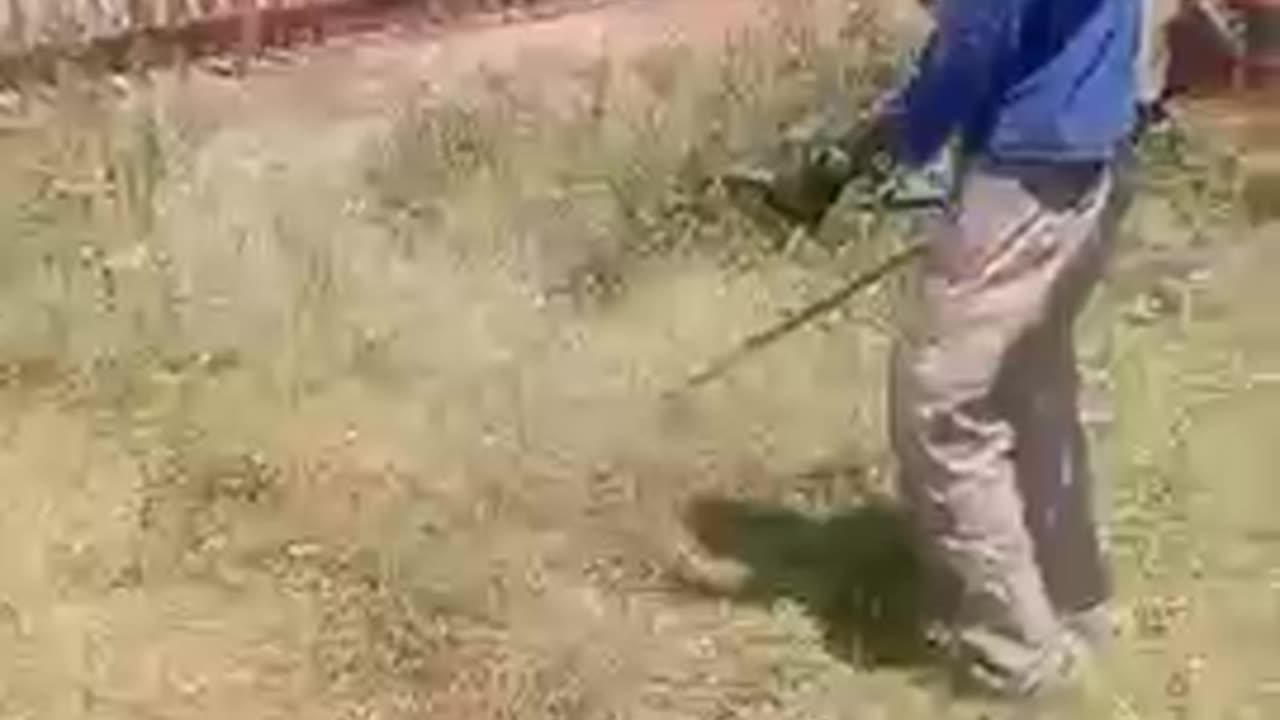 We Cut Grass, Trees & Clear Plots in JHB, Gauteng. Phone No 0711175405