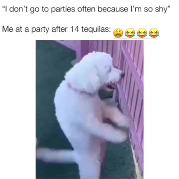 ready to hump for the final