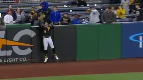 Baseball Homerun Denied