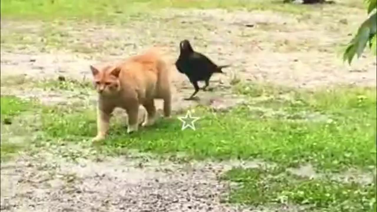 Best Funniest Animal Videos 2023 😅 - Funny Cats And Dogs Videos #2 😂_Minhhieulsls