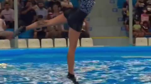 Girl vs dolphin