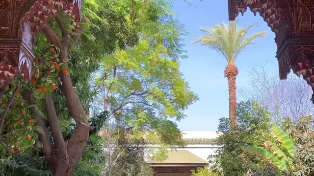 Huntihg silence with age