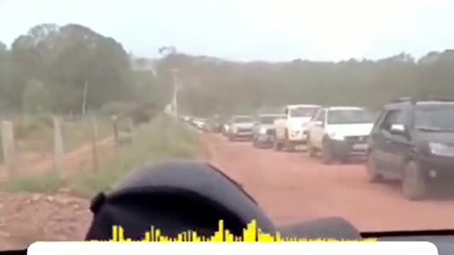 Auto Defesa
