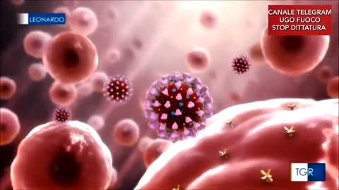 LEONARDO - RAI "Il covid è un prodotto da laboratorio" (4 agosto 2023)