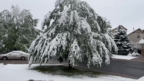 Snow in May Must Watch Till End