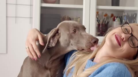 Dogs Behavior