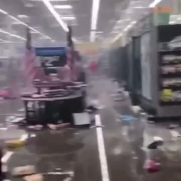 Walmart gets Stormed by Criminal Animals!!!!!