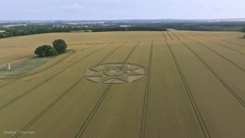 2 Crop Circles - Chillandham Lane, Winchester, Hampshire, England - 4 July 2023