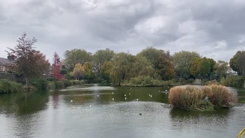 Dublin Blessington Street Park 8