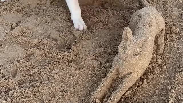 Dog Makes Friends With Mr.Sandcat