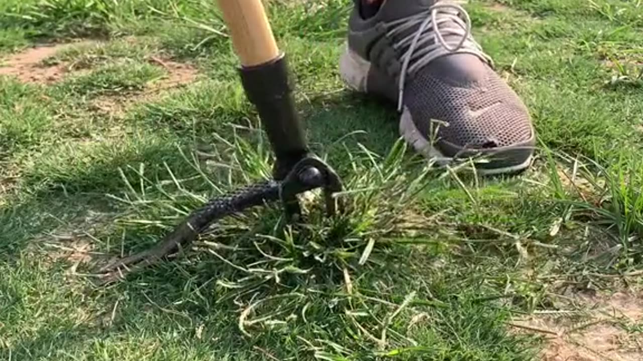 Grampa's Weeder Tool