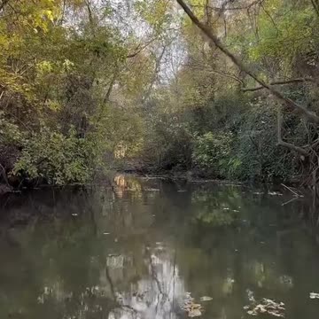 who knew you could get wet paddle boarding