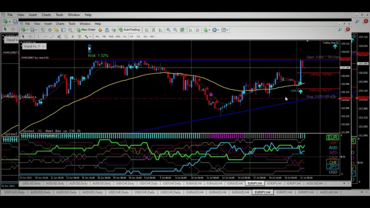 Descubre la magia del trading de Forex con Forex Trendy