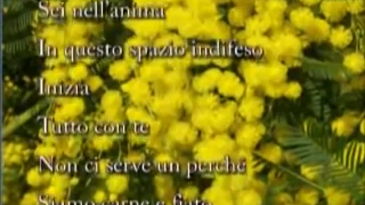 Gianna Nannini - Sei nell'anima (240p_25fps_H264-96kbit_AAC)