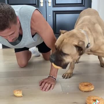 Master and doggo donut challenge