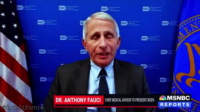 💉 "LET IT BE" 🎶 A classic song about a classic villain - Tony Fauci