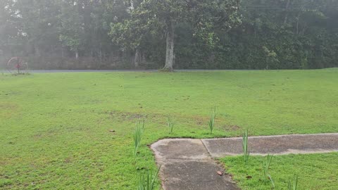 One min of morning beauty