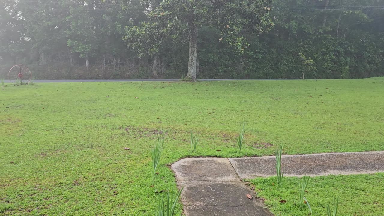 One min of morning beauty