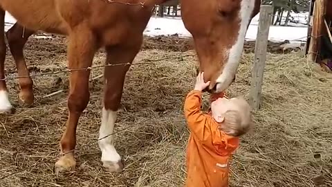 This so soooo sweet #shorts #horses #cute