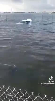 You think this is Natural ? hahaha you you are unable to THINK at all