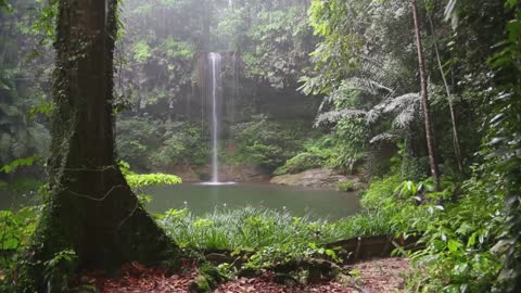 Meditação - A Chuva