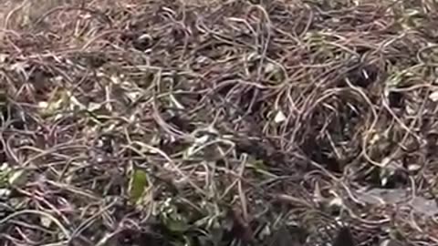WHAT IS HELPING ? SEE THIS VIDEO AND THIS IS HELPING